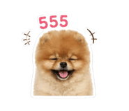 853067831