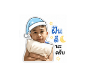 853068493