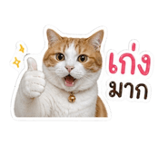 853069079