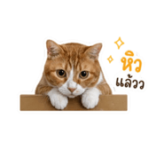853069093