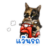 853069702
