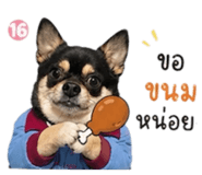 853069766