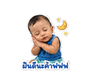 853077446