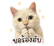 853079365