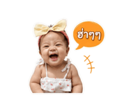 853080116