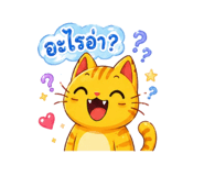 853080706