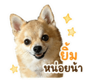 853081714