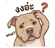 853083894