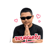 853088116
