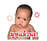 853089546