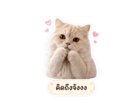 853089596