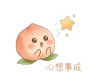 853092018