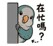 853093066