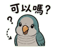 853093068