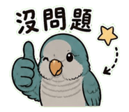 853093070
