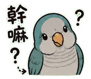 853093072