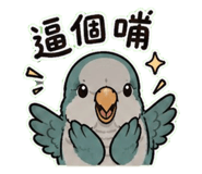 853093079