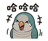 853093081