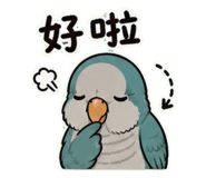 853093082