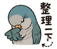 853093087