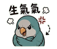 853093094