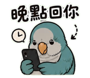 853093097
