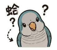 853093100