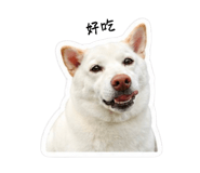 853094836