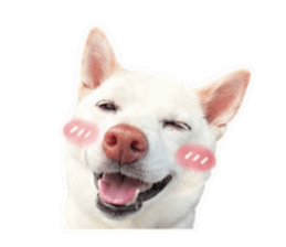 853094839