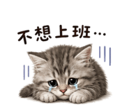 853095956