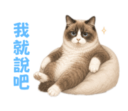 853096658