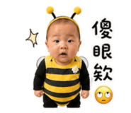 853102428