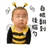 853102434