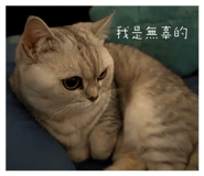 853104604