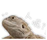 853105686