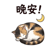 853105881