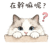 853108305