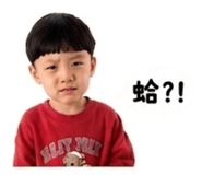 853108741