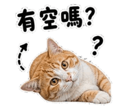 853110740
