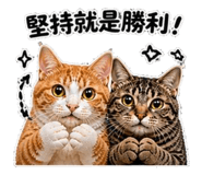 853110747