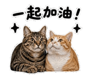 853110748