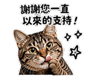 853110755