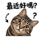853110756
