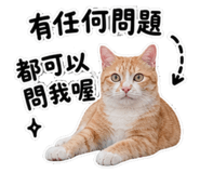 853110940