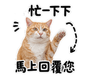 853110952