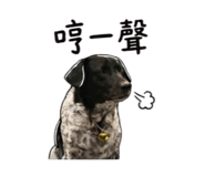 853111626