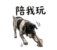 853111629
