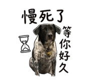853111632