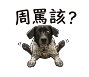 853111634