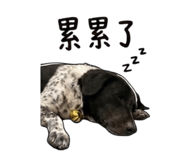 853111639